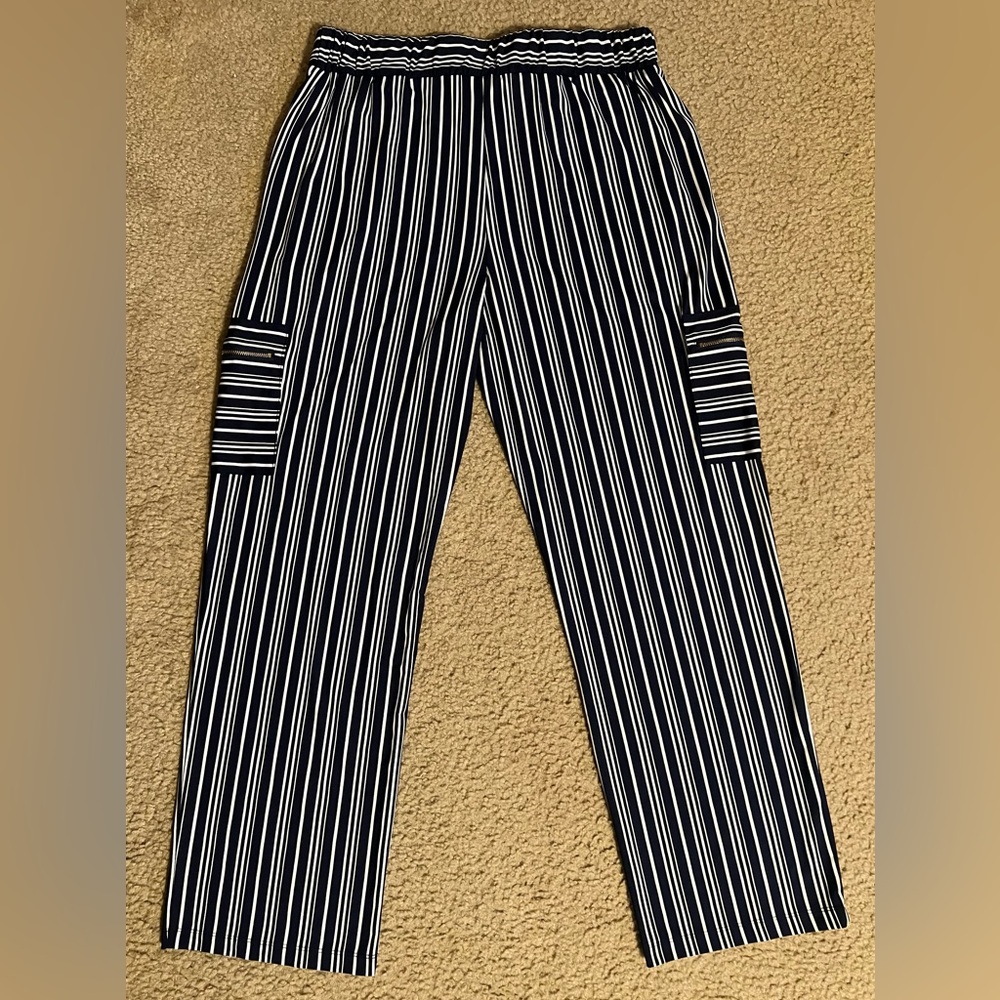 Robert Louis Striped Cargo Pants in Navy and White - Picture 2 of 8